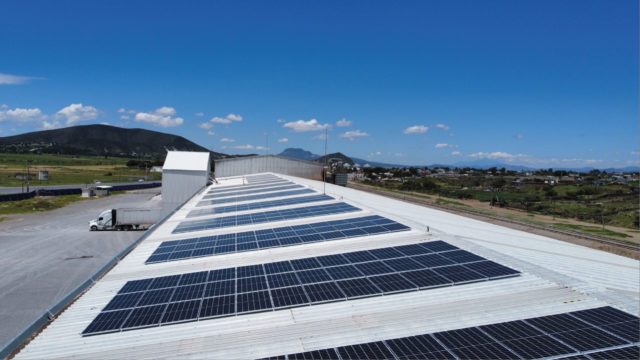 Iberdrola inaugura central solar en planta de café en Veracruz