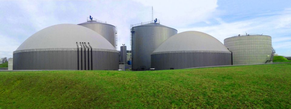 TotalEnergies y Clean Energy inician construcción de planta de biogás