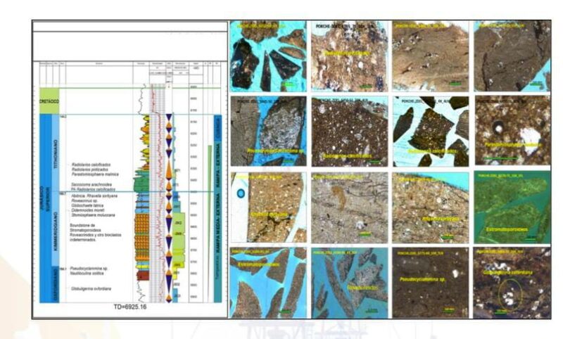 Distribución de microfacies sedimentarias para predecir oportunidades exploratorias