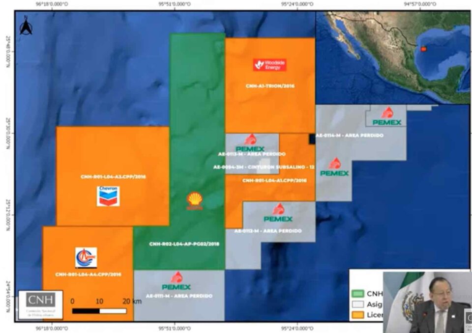 Shell inicia tramitación para devolver área contractual en aguas profundas