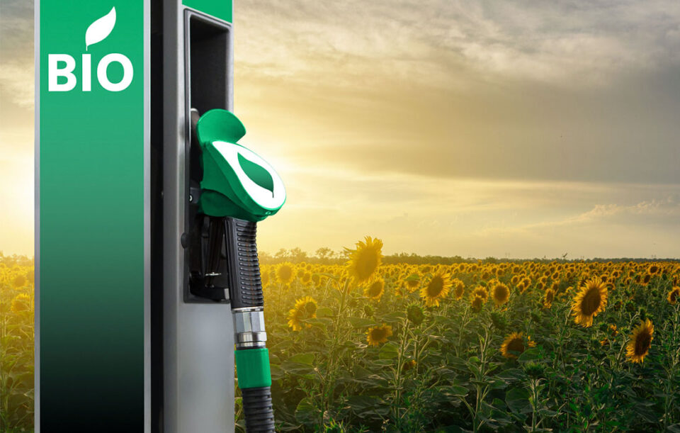 Bioetanol, una alternativa en el programa de descarbonización de Pemex