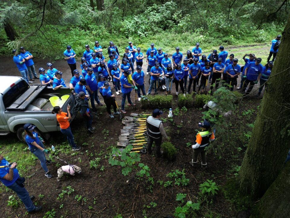 ANPACT y asociados refuerzan su compromiso ambiental con reforestación en Ocoyoacac