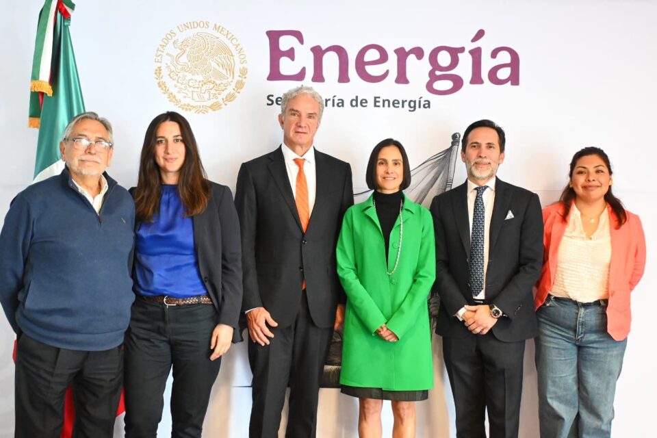 Sener y Saavi Energía exploran oportunidades de negocios en el sector elétrico