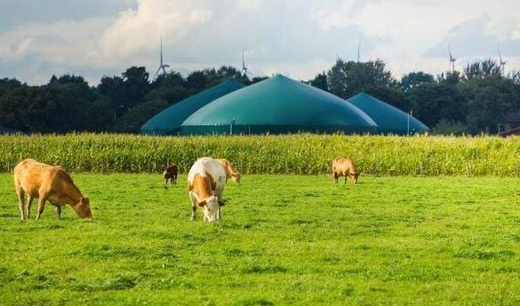 Biometano, el aliado del Gas Natural para un futuro energético más sostenible