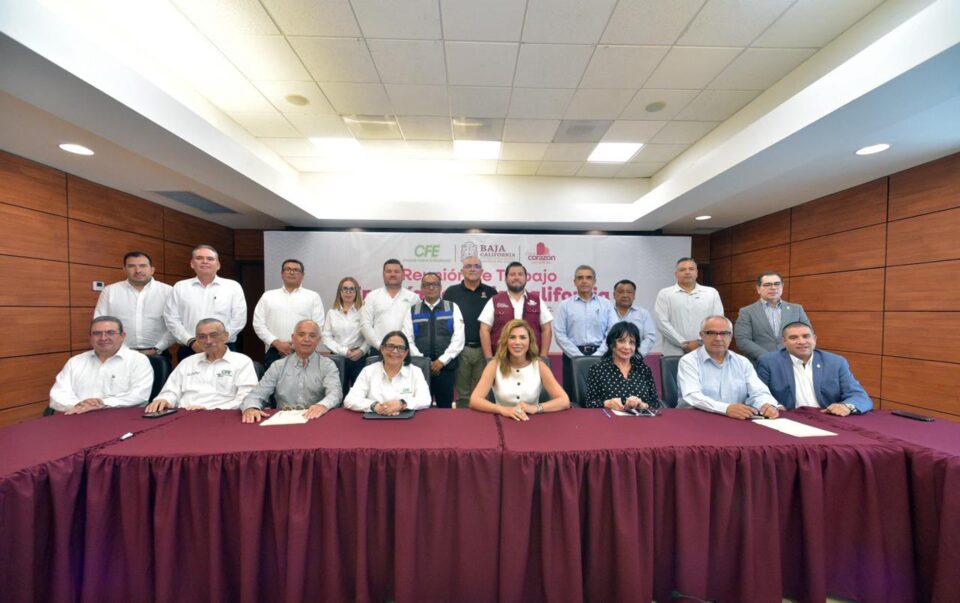 CFE garantiza el abasto suficiente de energía para México