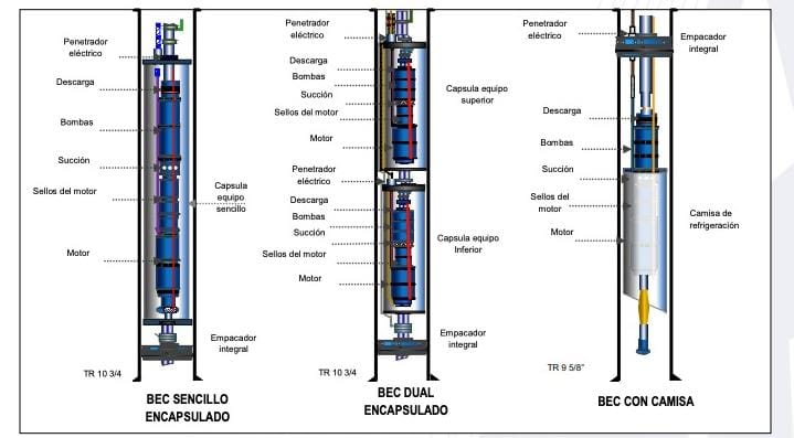 BEC Booster como aseguramiento de flujo para un campo Costa fuera de aceite viscoso