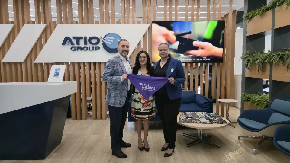 Asociación Mexicana de la Industria de Tecnologías de Información (AMITI).