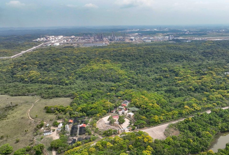 Pemex protege más de 2 mil hectáreas de biodiversidad en Veracruz