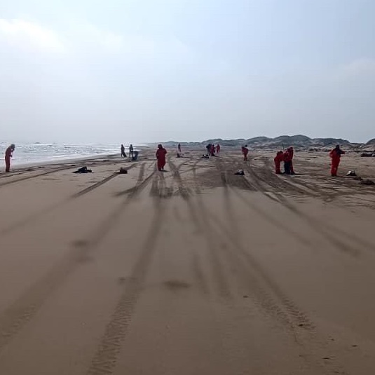 Gobierno de México avanza en limpieza de playas del Golfo de México con 88% de progreso