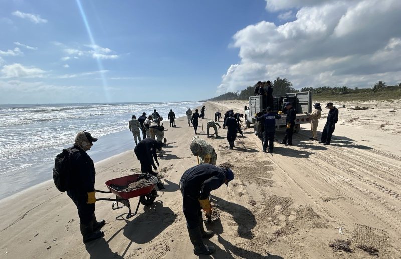 Grupo Interinstitucional de 2,400 elementos atienden presencia de hidrocarburos en costas de Veracruz y Tabasco