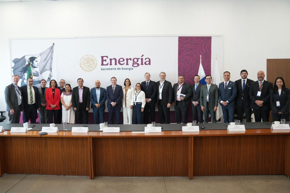 Sener analiza cooperación e inversiones en el sector energético con Finlandia