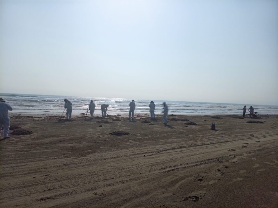 Grupo Interinstitucional logra limpiar 32 playas tras presencia de hidrocarburo en el Golfo de México