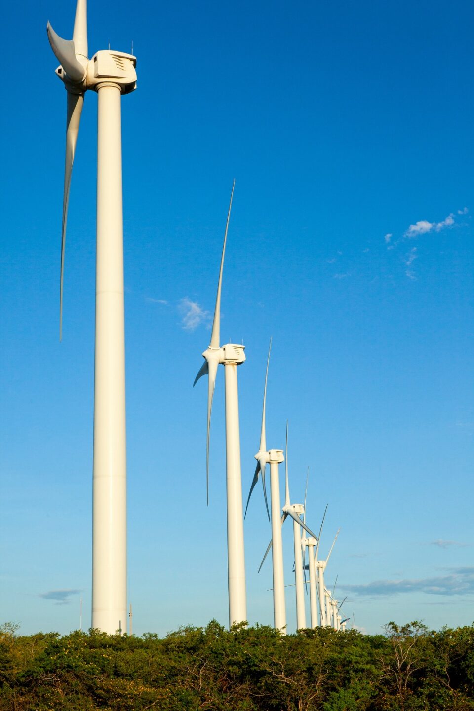 Industrias Peñoles contribuye a la transición energética global